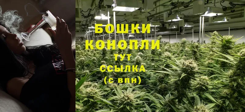 Шишки марихуана OG Kush  МЕГА сайт  Ардатов 